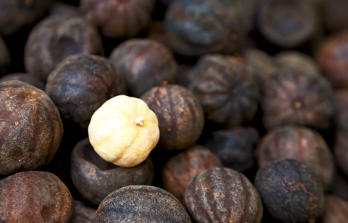 فوائد الليمون الأسود لجرثومة المعدة