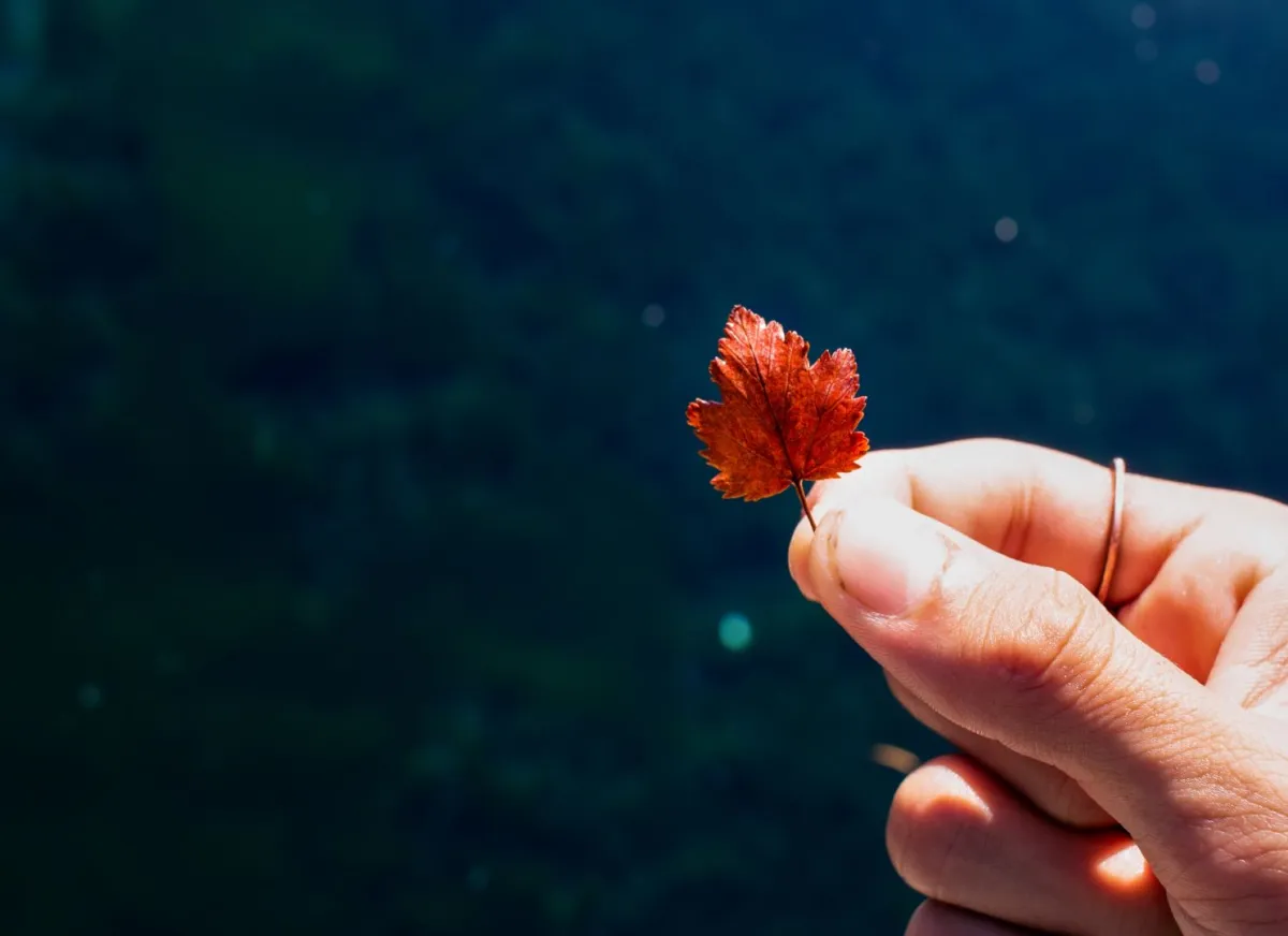 صورة تعبيرية