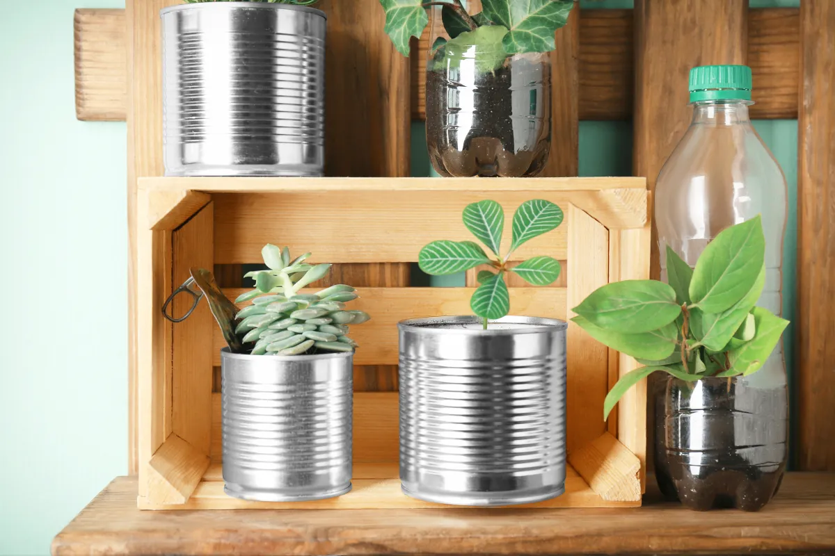 صنع حاويات الزرع من علب الماء 