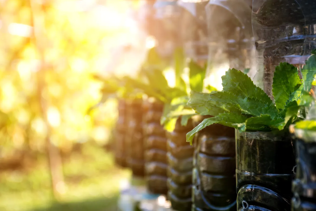 أفكار لإعادة التدوير لعلب الماء  