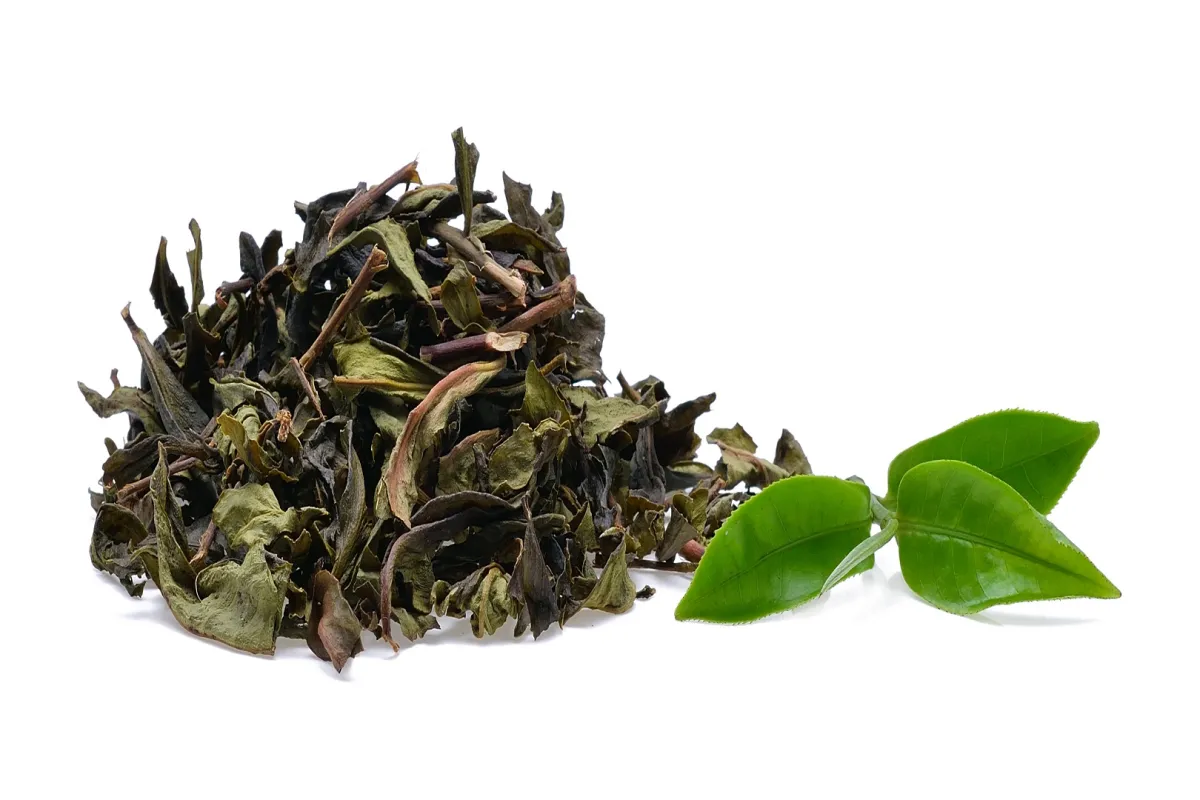 علاج التهاب اللثة بالأعشاب (المصدر: Adobe.stock)