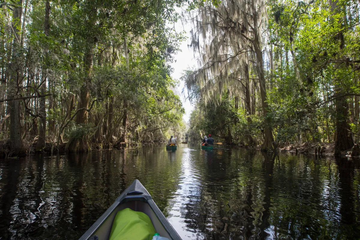 التمتع بالطبيعة في جورجيا