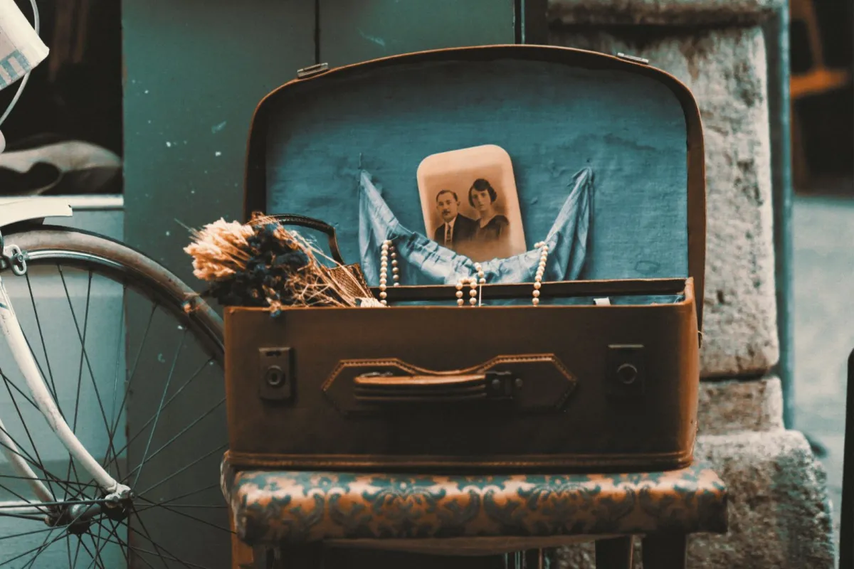 حقائب السفر