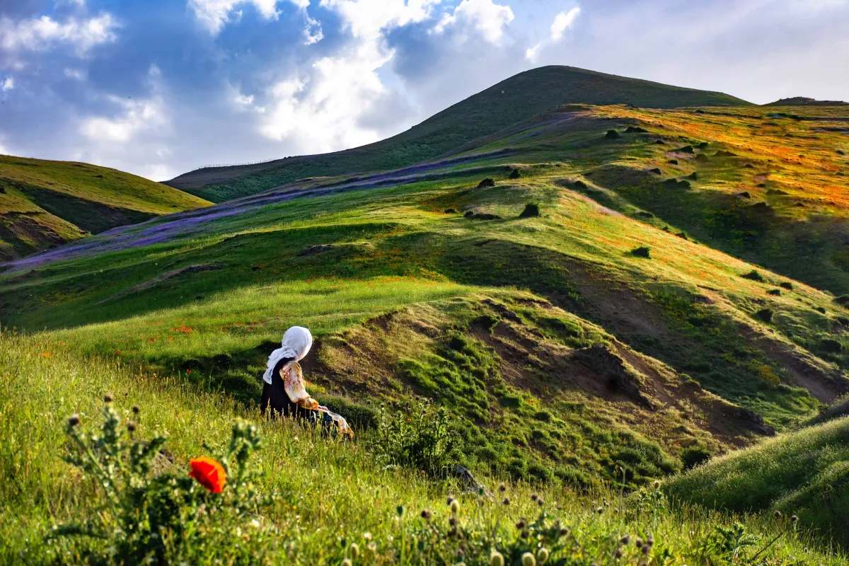 روضة الشقيم تكتسي بالأخضر بعد هطول الأمطار في محافظة الدوادمي - صورة تعبيرية من unsplash
