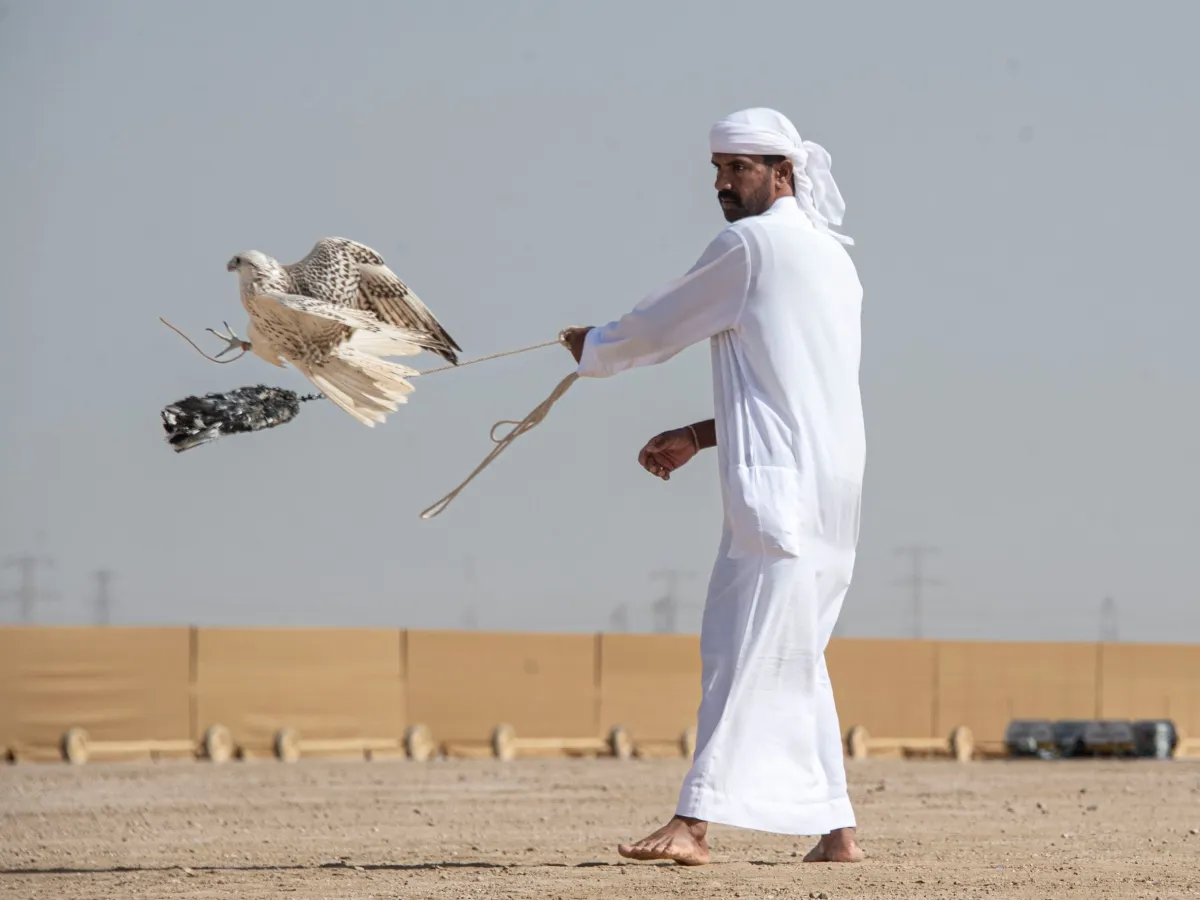 كأس محمد بن راشد لسباقات الصقور- الصورة من مركز حمدان بن محمد لإحياء التراث