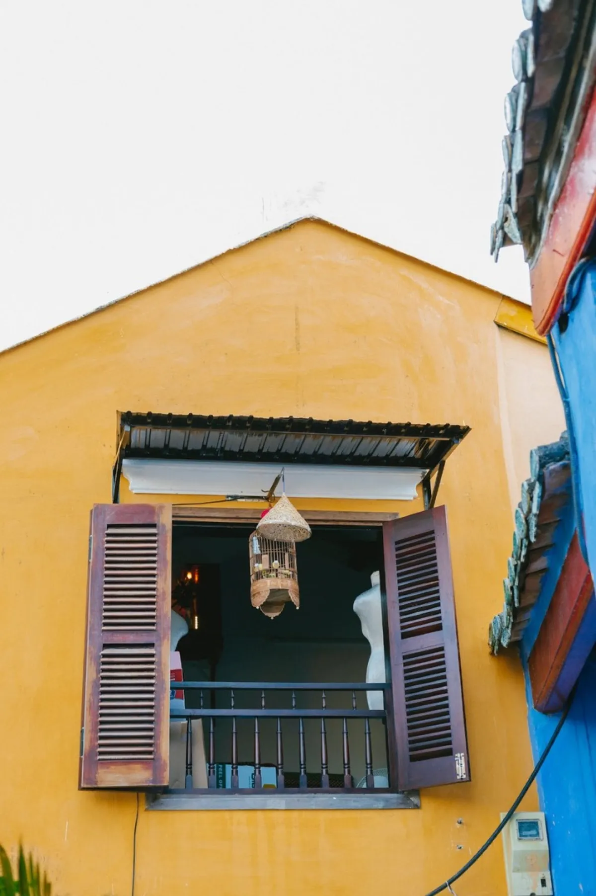 طيور الحب هدية المحبين 