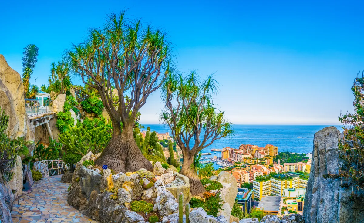 الاستمتاع بالطبيعة في مونت كارلو