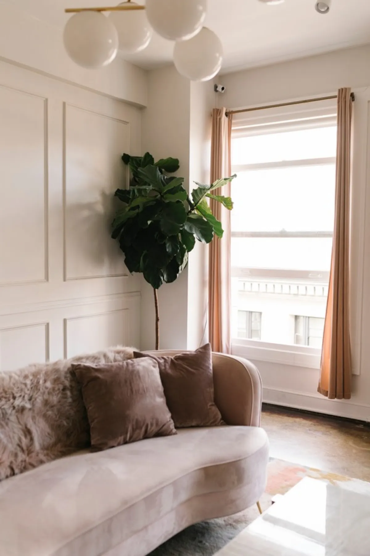 نبتة داخلية في زاوية المنزل