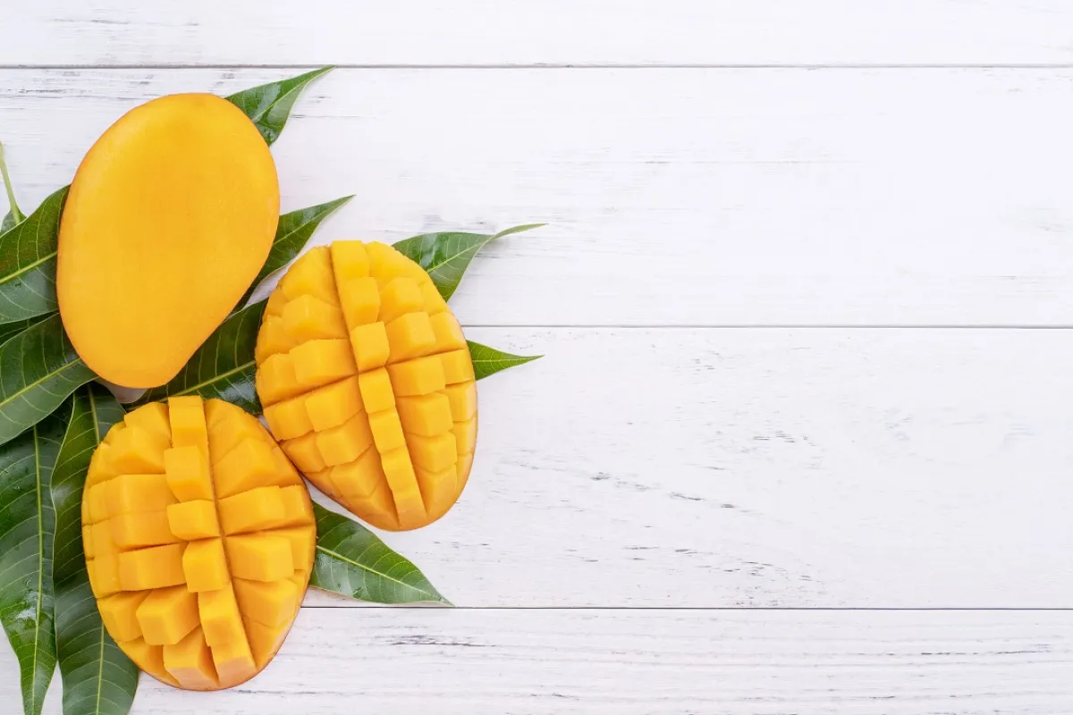 صورة لأوراق المانجو