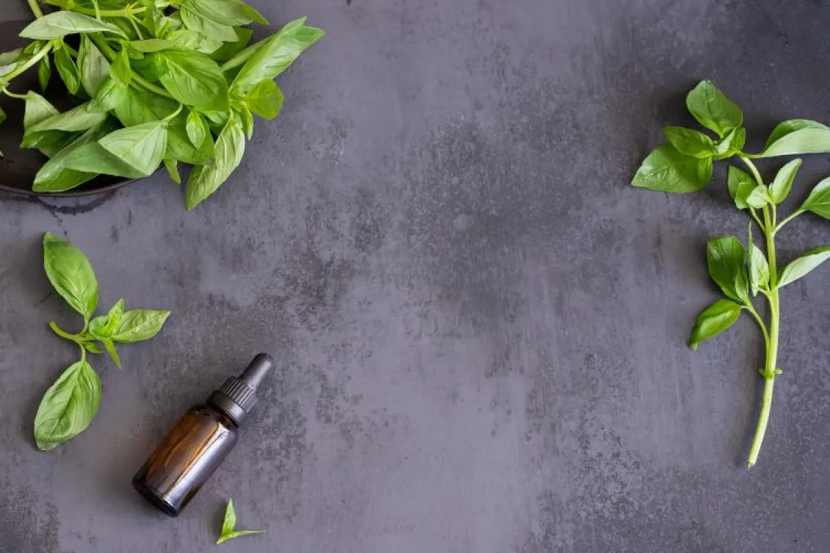 كيفية استعمال زيت الريحان للشعر