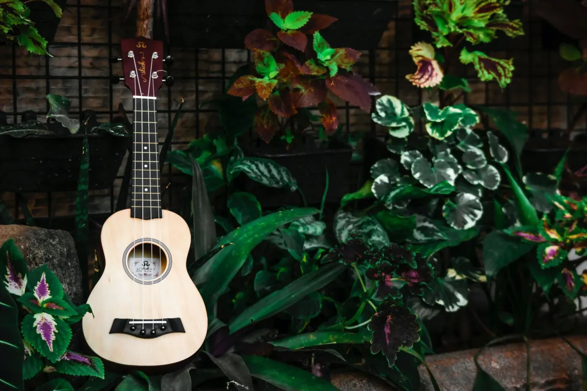 النباتات والموسيقى