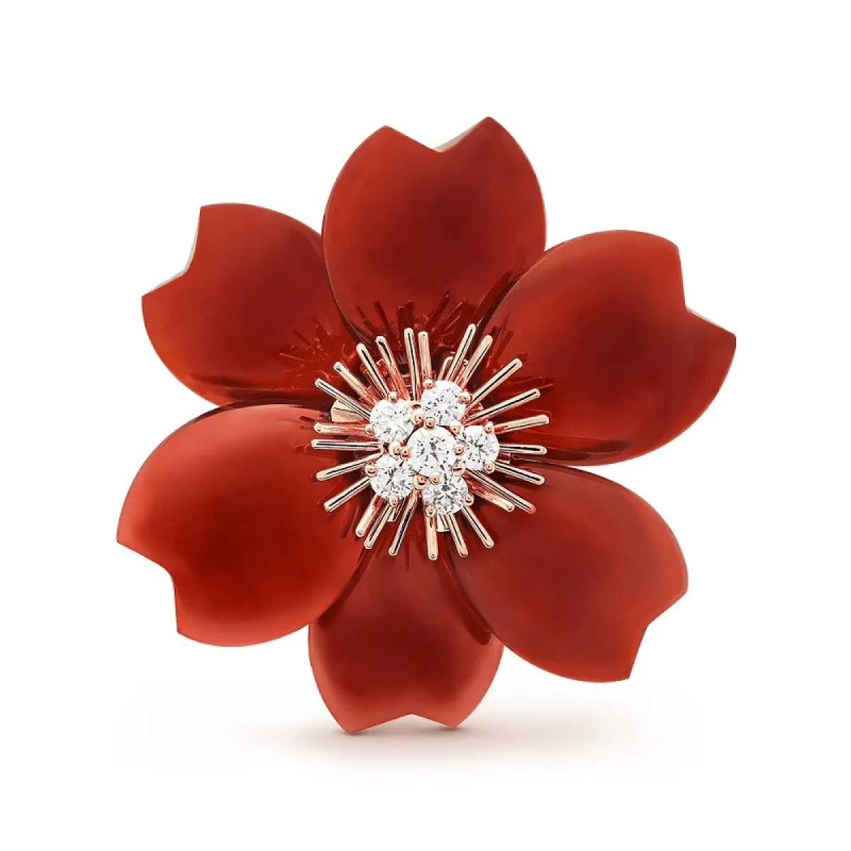 بروش Rose de Noël من فان كليف آند أربلز Van cleef&Arpels
