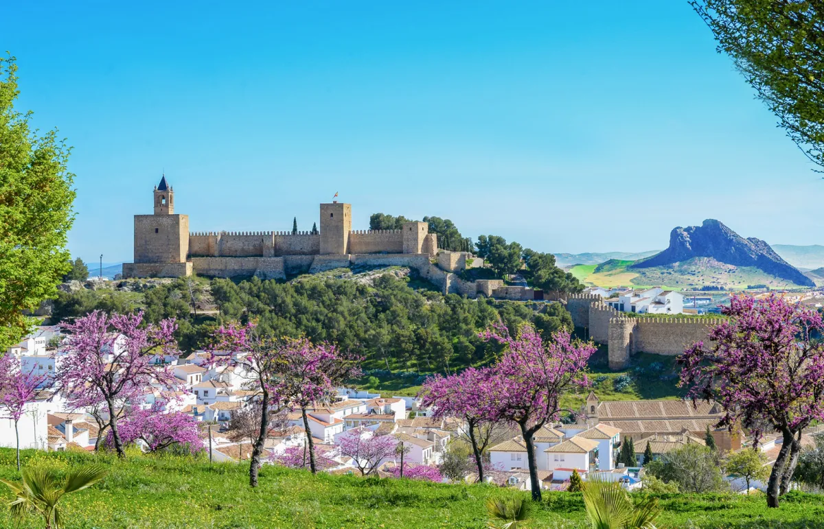 رحلة مميزة إلى مدينة الحضارات مالقا.. «حسناء الأندلس» 