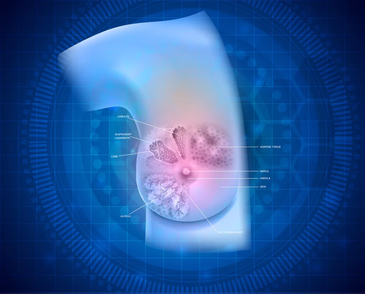 صورة لأنسجة الثدي