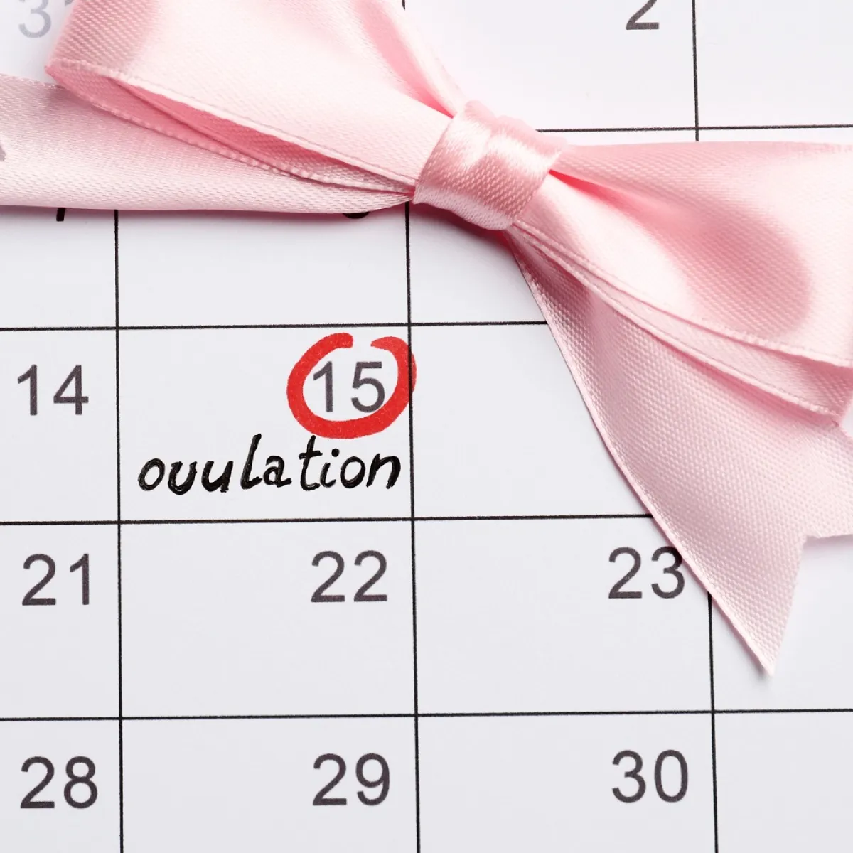 صورة تحدد موعد الإباضة