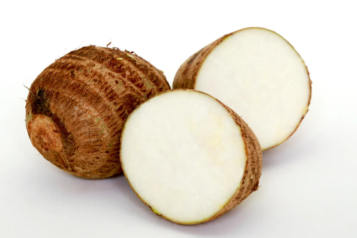 صورة اليام البري