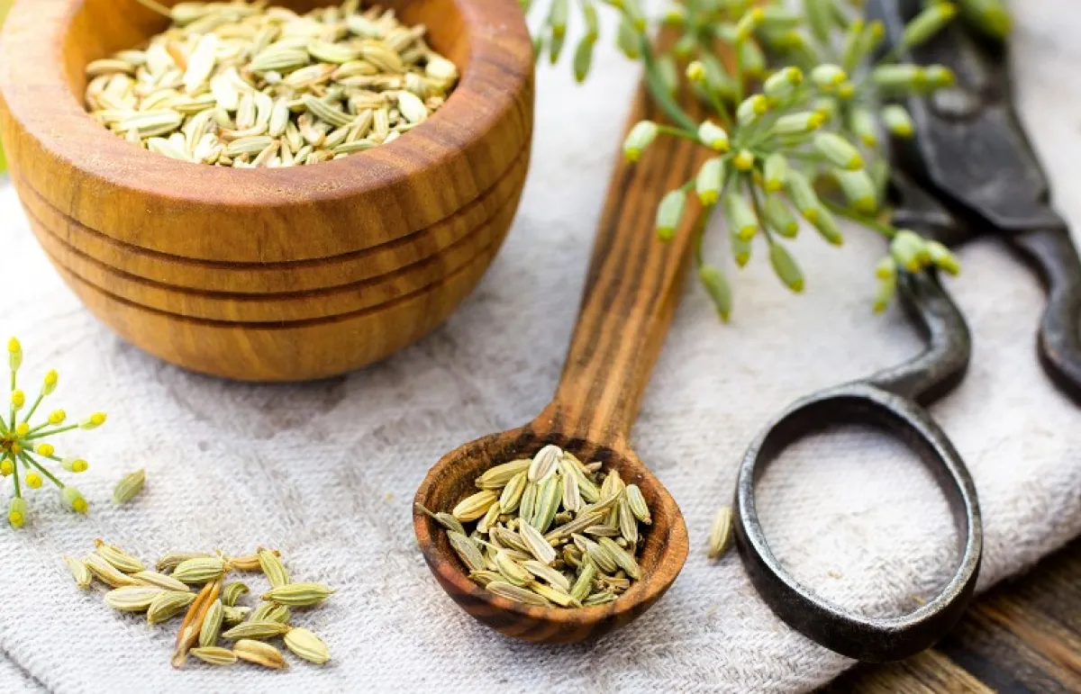 أهم فوائد السنوت الصحية