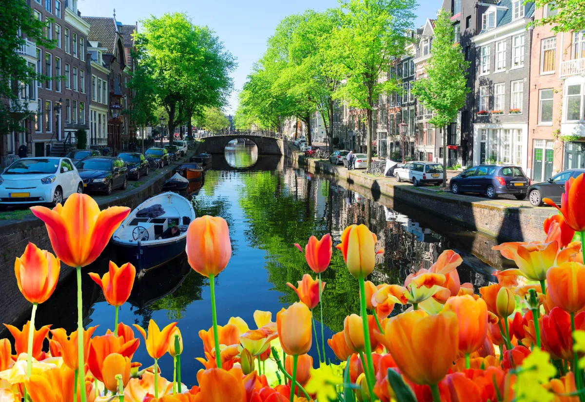 الحدائق المتنوعة في الربيع في هولندا