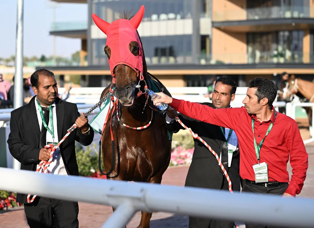 جانب من كأس السعودية