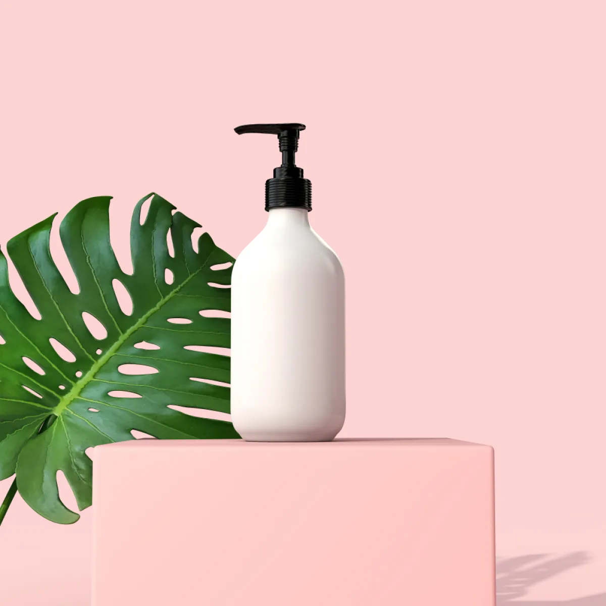 غسل أوراق النبات، باستخدام لشامبو والماء