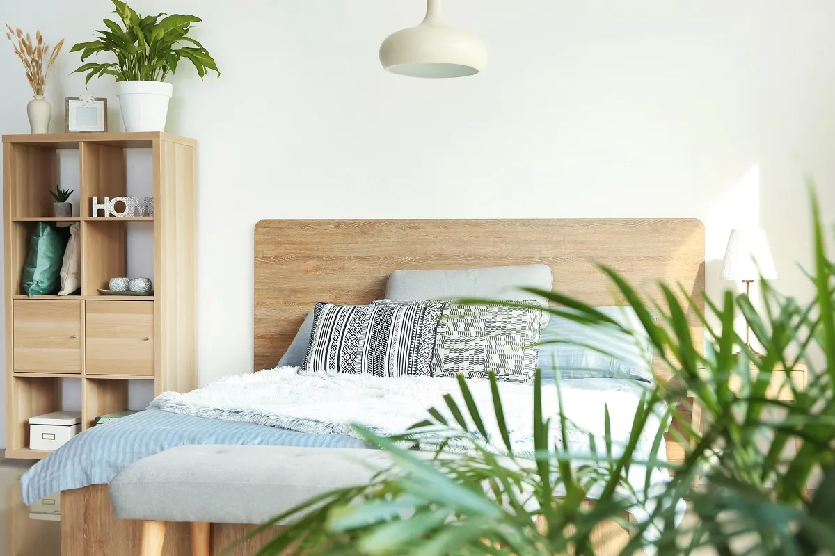 النباتات تعزز الراحة في غرف النوم