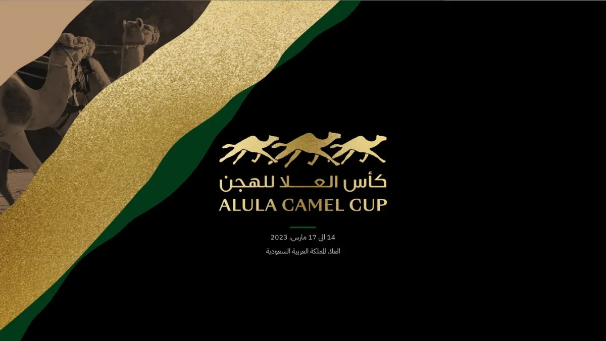 انطلاق النسخة الأولى من كأس العلا للهجن غدا - الصورة من حساب الاتحاد السعودي للهجن على تويتر