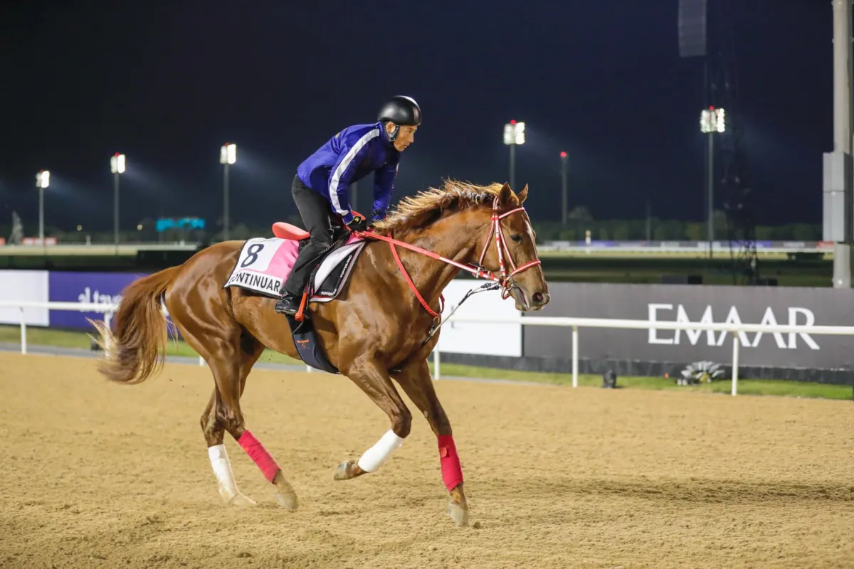 انطلاق النسخة الـ 27 من كأس دبي العالمي للخيول 2023 - الصورة من مكتب دبي الإعلامي