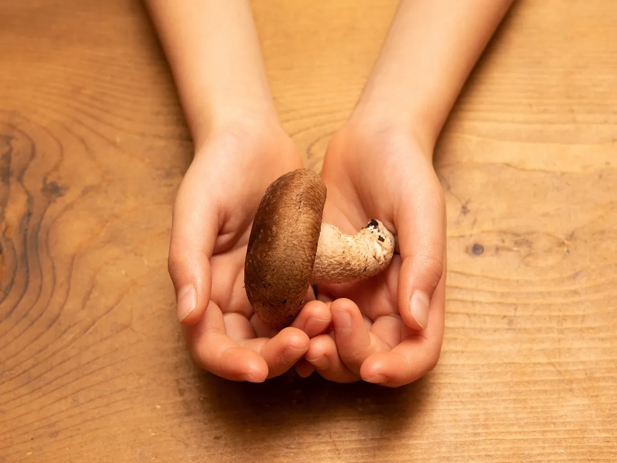 صورة لطفل يحمل نبات الفطر