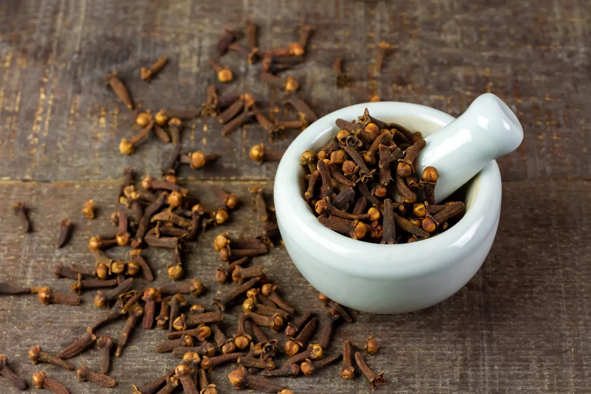 يُستخدم القرنفل في تعطير الفم وعلاج التهابات اللثة منذ مئات السنين (المصدر: Adobe.Stock)