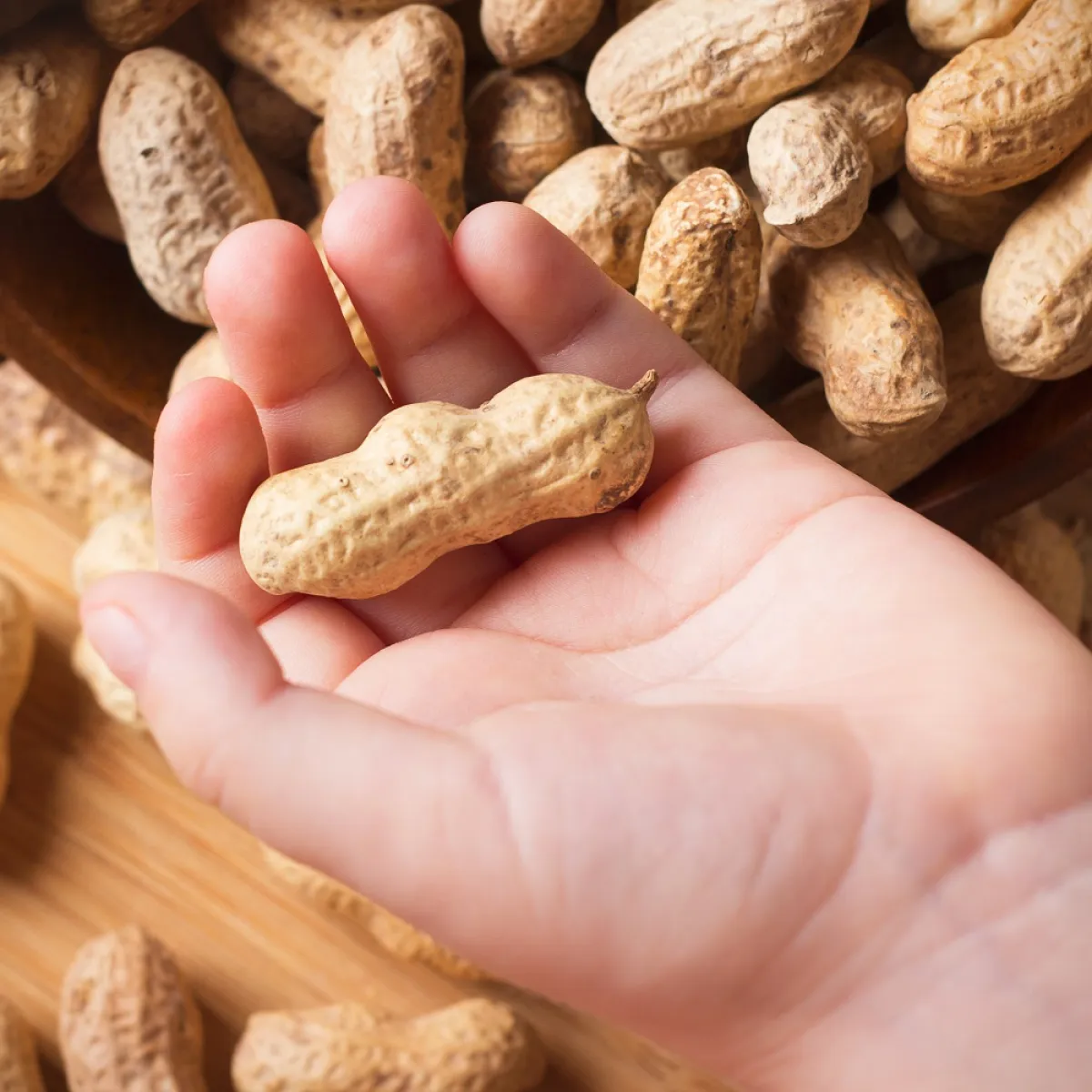 صورة تشير لحب الاطفال للفول السوداتي