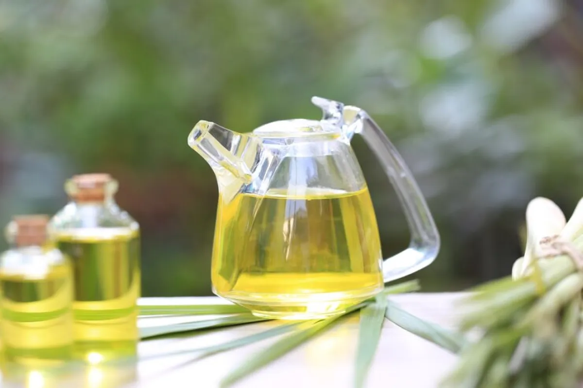 تكثيف الحواجب بزيت شجرة الشاي