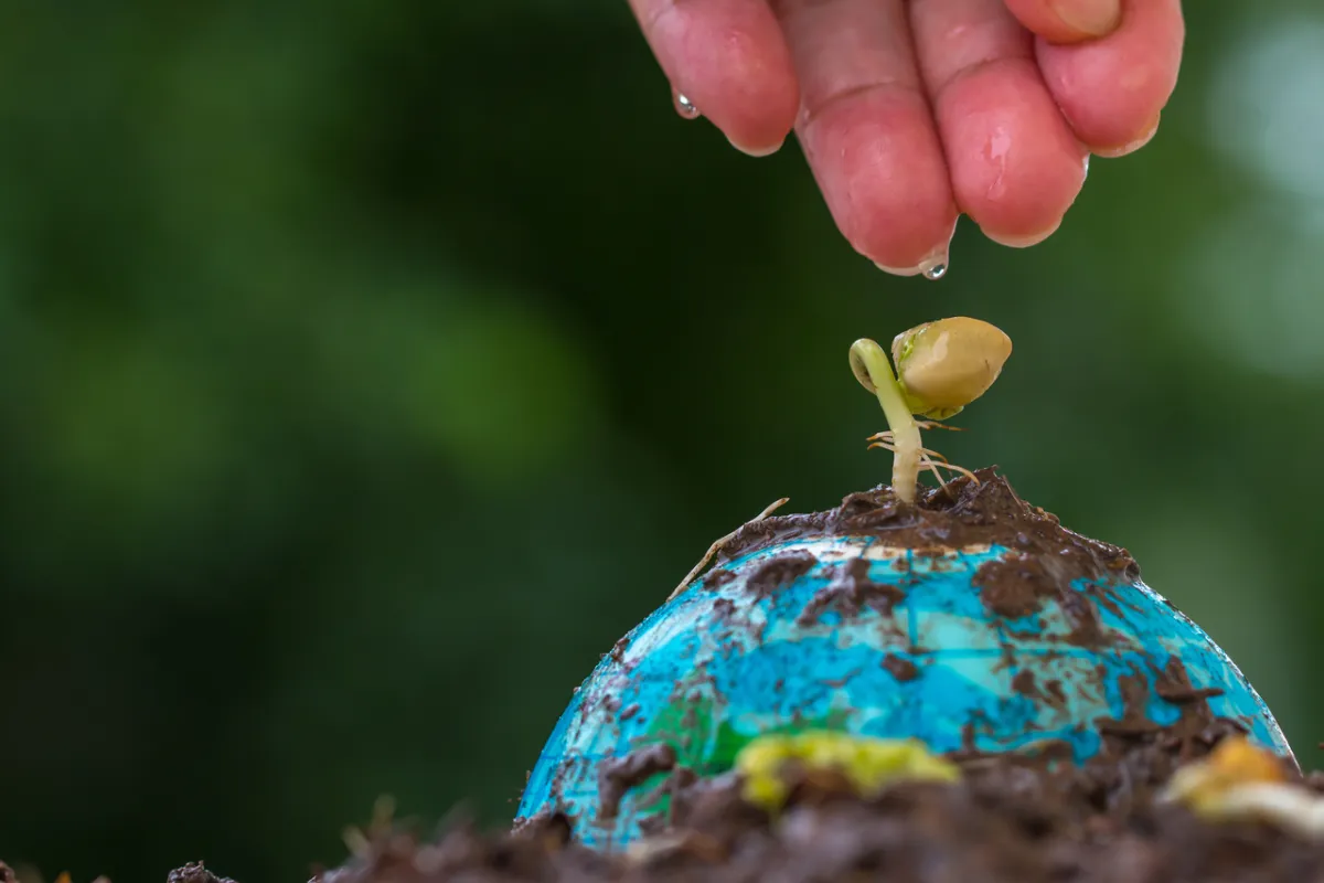 صورة تعبيرية عن الولادة في الماء