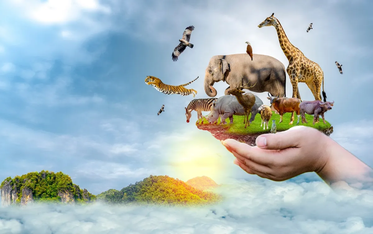 صورة لأنواع من الأحياء البرية