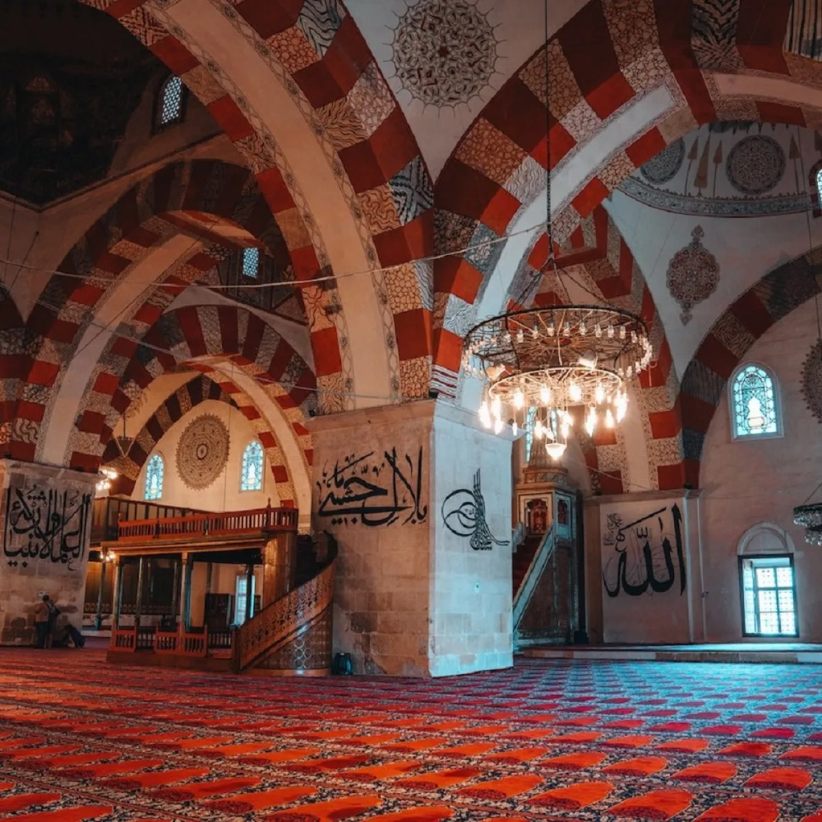 صورة لجماليات الحروف العربية