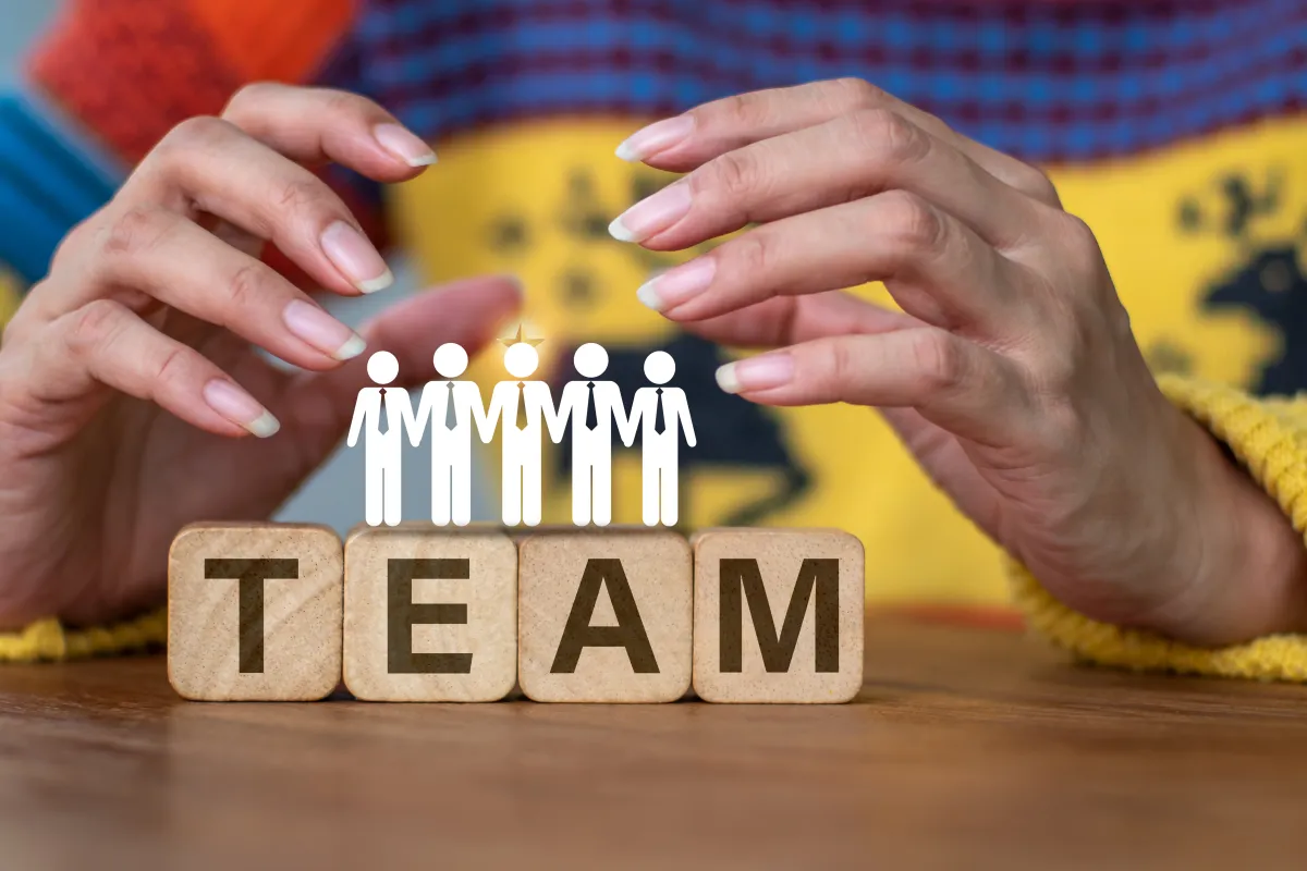 تعيين قادة في مجموعة العمل