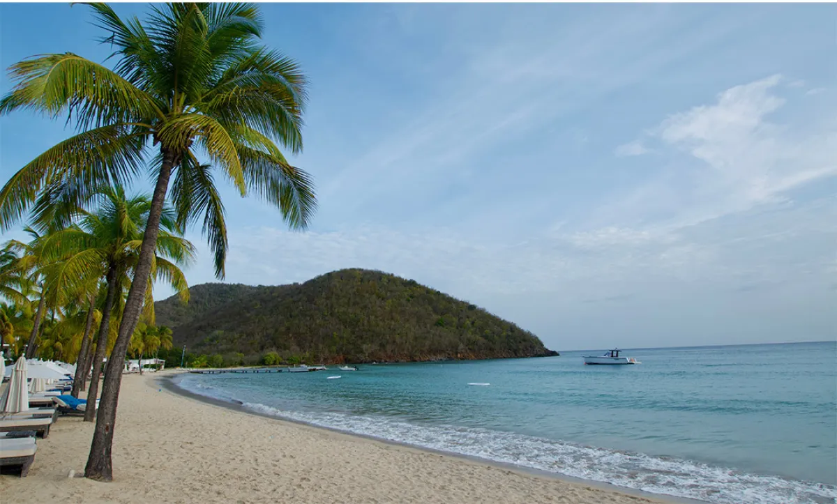 خليج «كارلايل»