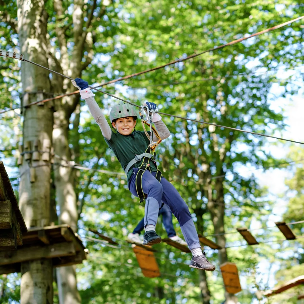 صورة لطفل يلعب فوق الشجرة