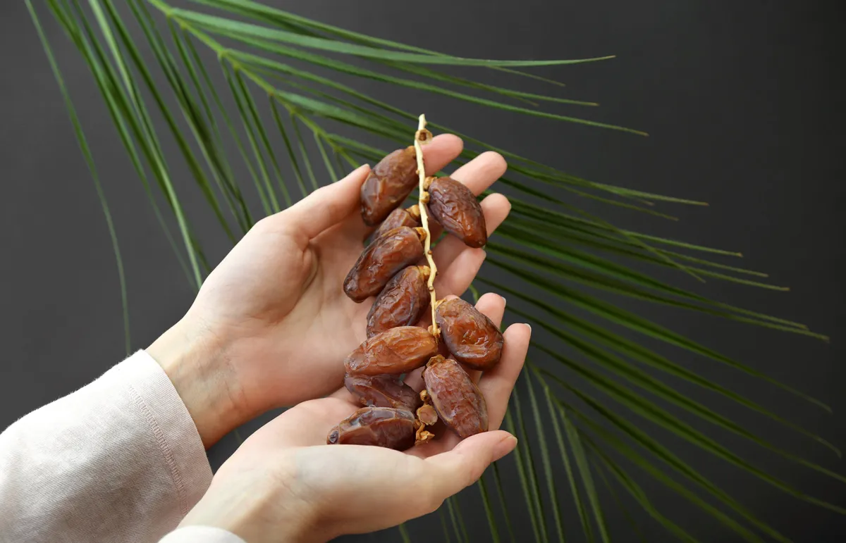 فوائد العرجون