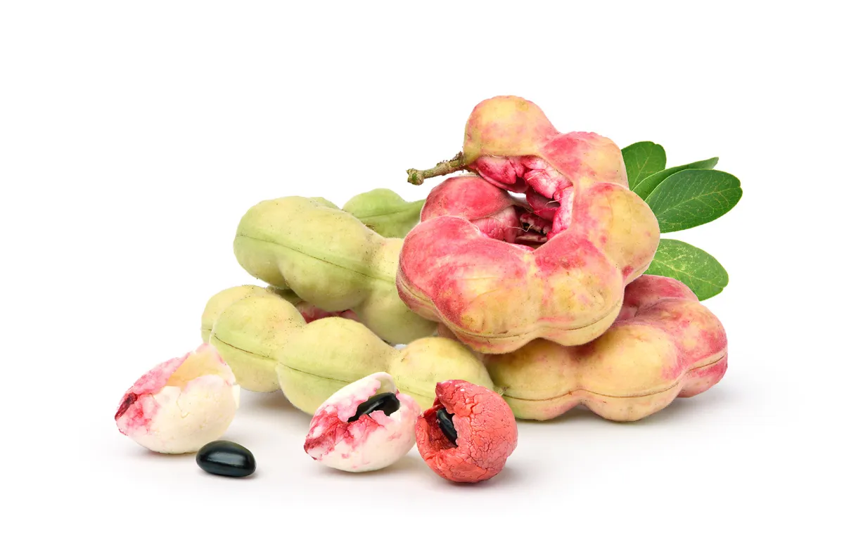 فوائد اللوز الهندي