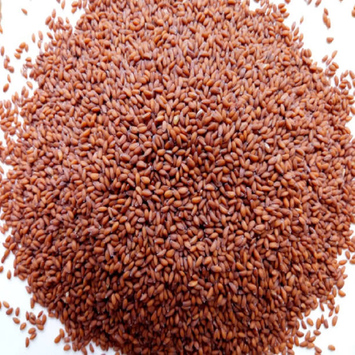 فوائد حب الرشاد - الصورة: pexels