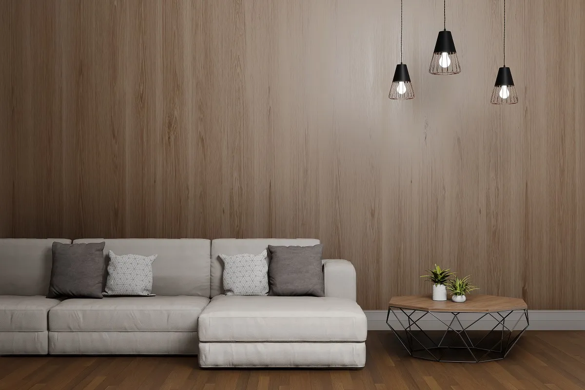 جاذبية الإضاءة