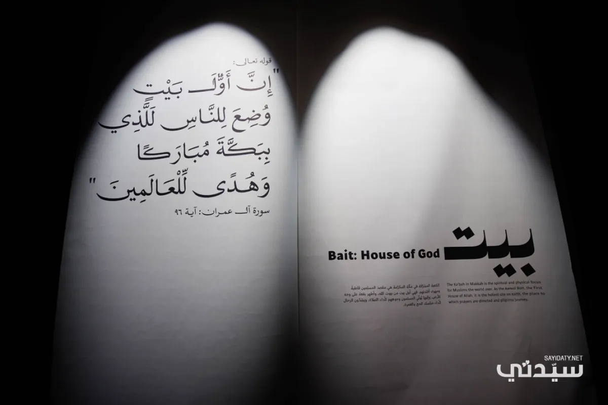 من معروضات البينالي