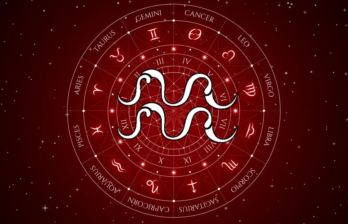 كيف يقع برج الدلو في الحب