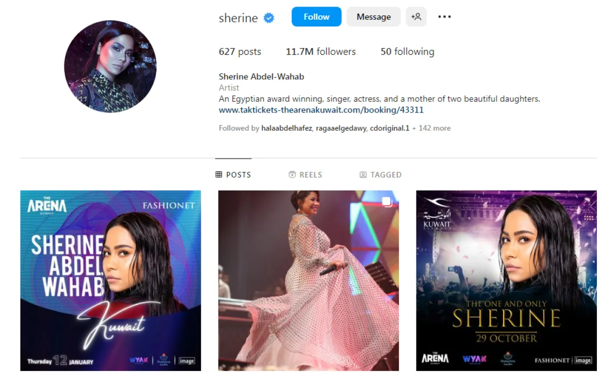الصورة من الحساب الرسمي لـ شيرين على إنستغرام
