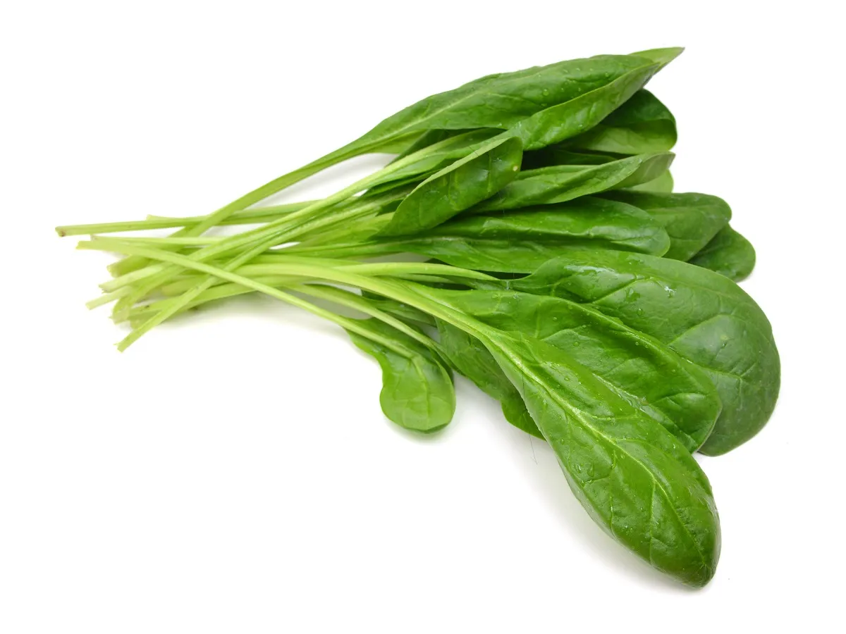 صورة لأوراق السبانخ