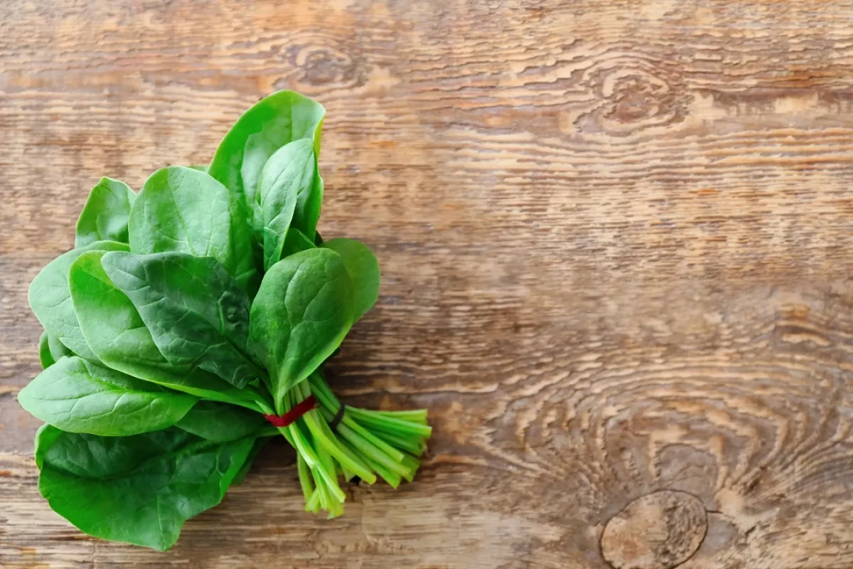 صورة لأوراق السبانخ