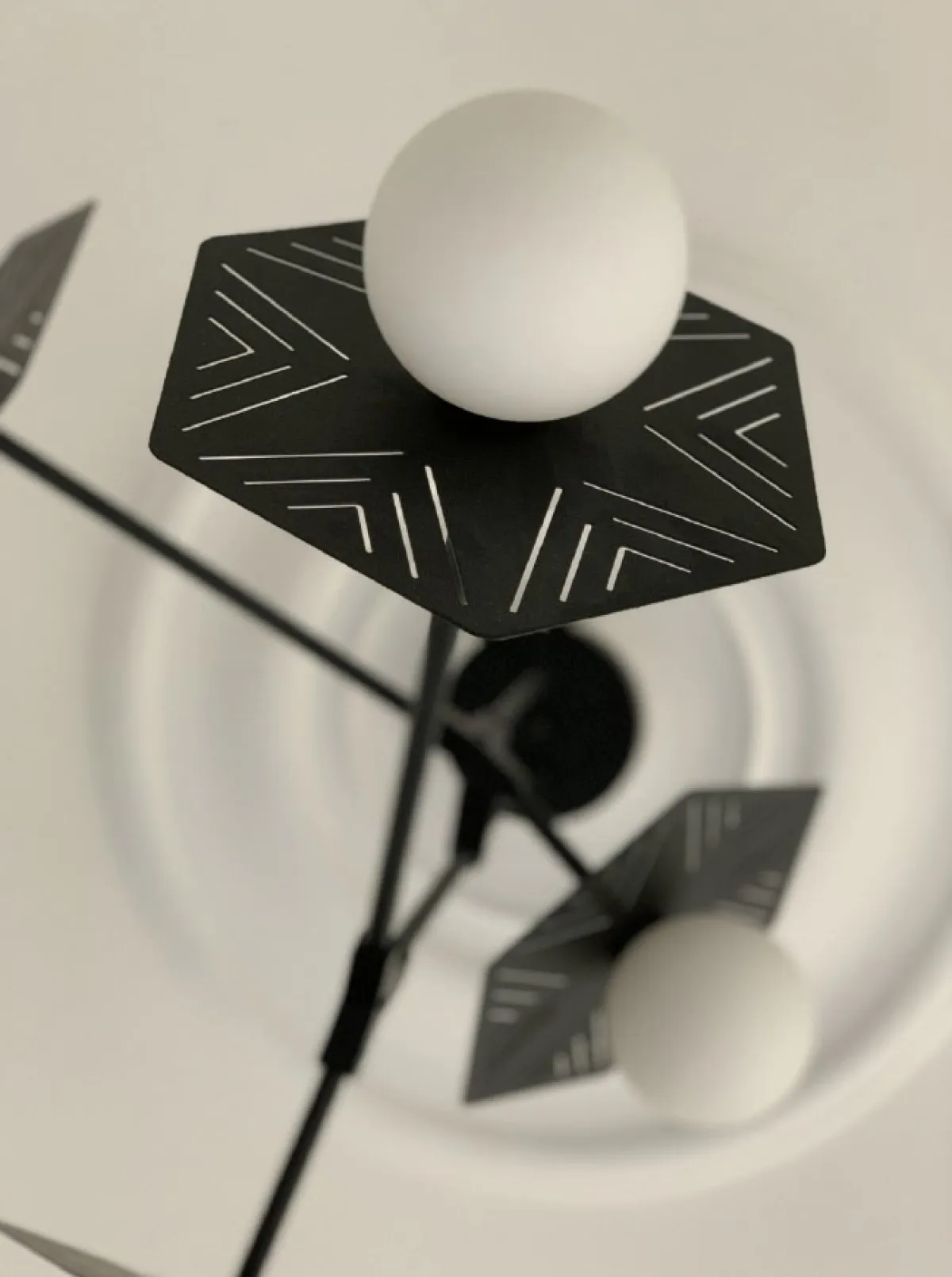 (الصورة من تصميم المهندسة دانا نعيم)