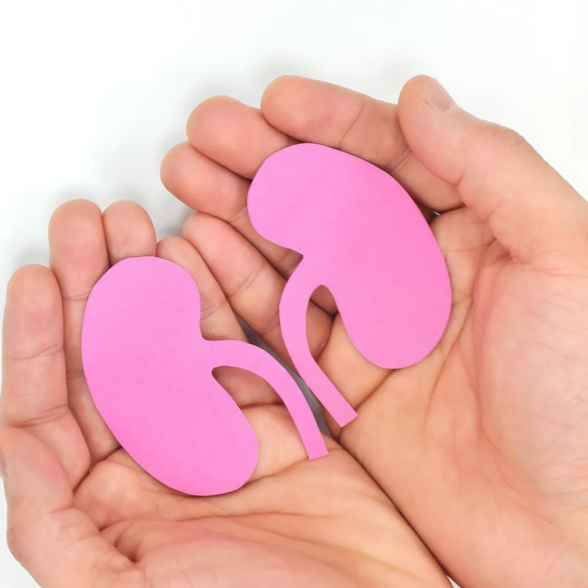 صورة تعبيرية عن الكلى