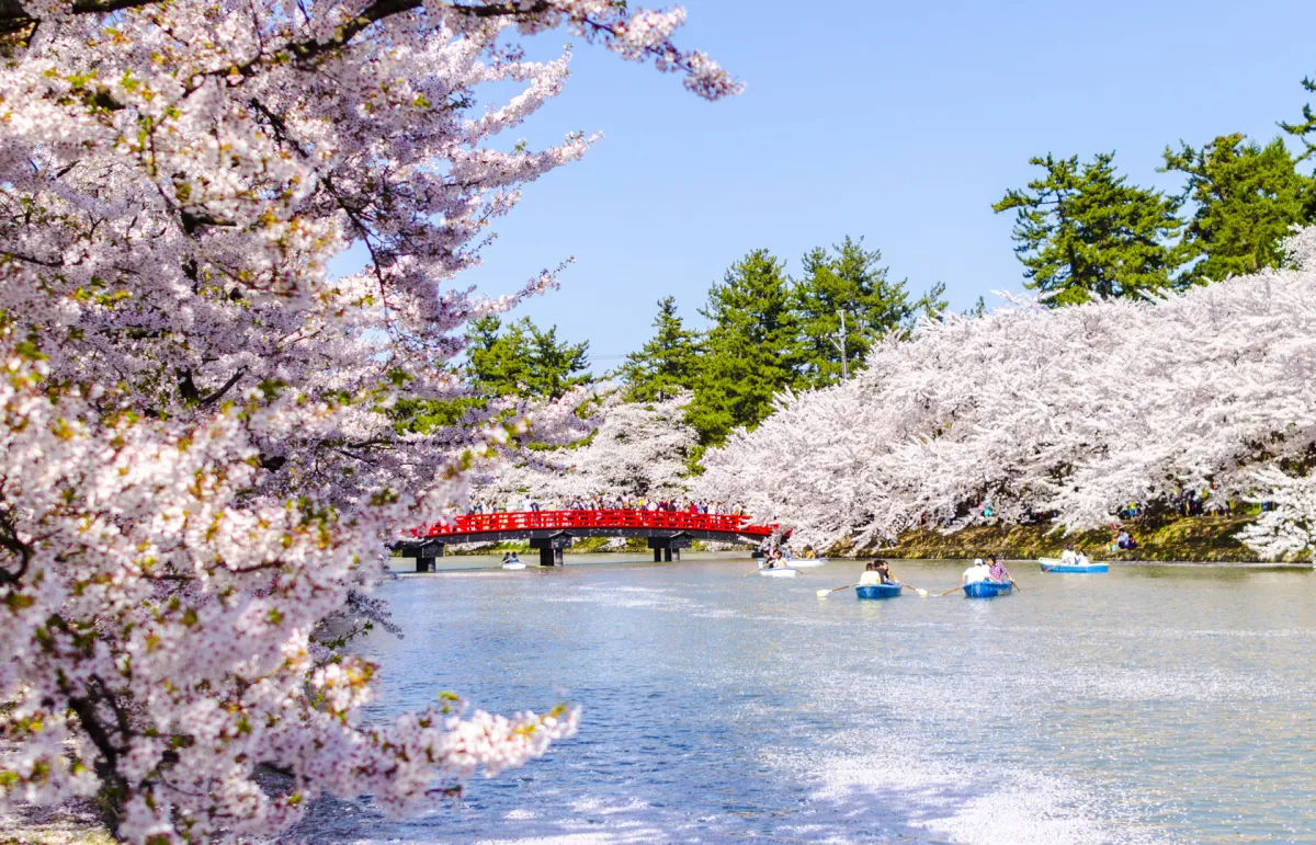 لرؤية تفتح الأزهار والنشاطات في الهواء الطلق 3 وجهات ربيعية مثالية