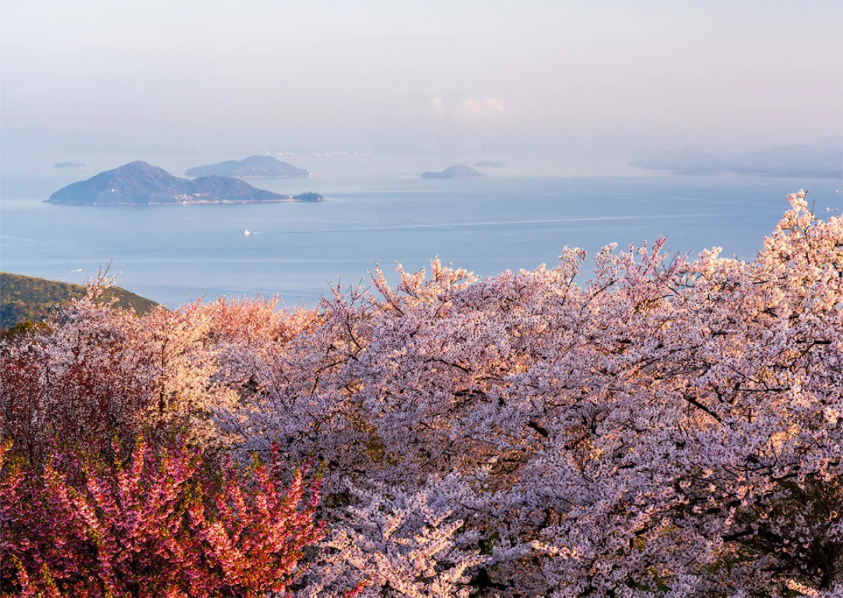 إطلالات خلابة من قمة جبل «شيودياما»